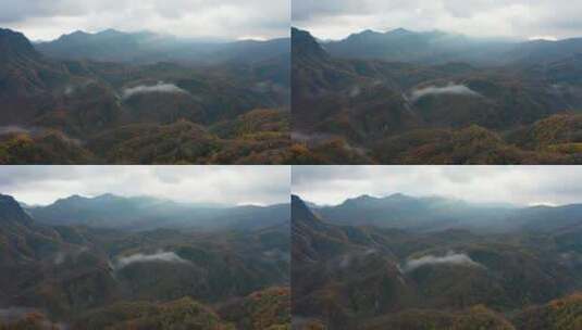 四川省巴中市米仓山国家森林公园航拍高清在线视频素材下载