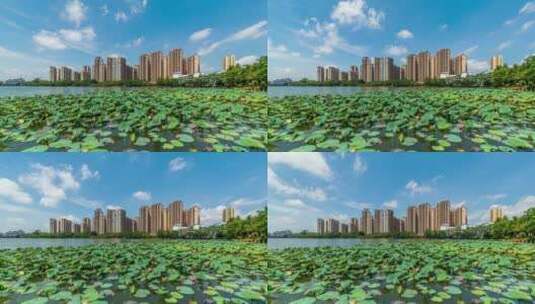 贵港东湖公园延时高清在线视频素材下载