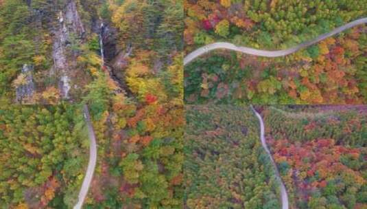 湖泊山脉秋季枫树林中的公路行驶的汽车航拍高清在线视频素材下载