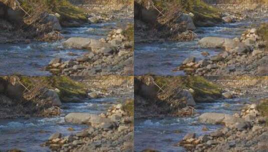 清澈的深山河流流水高清在线视频素材下载