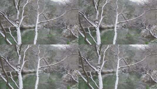 意境冬天公园湖面雪景高清在线视频素材下载