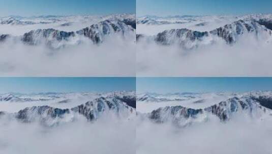 云山雾海夹金山雪山连绵蓝天下白云上美景高清在线视频素材下载