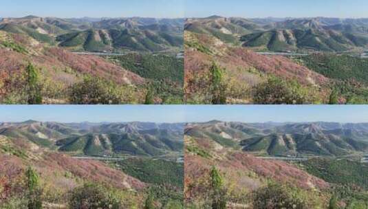 济南蚰蜒山红叶满山，秋天山脉景色高清在线视频素材下载