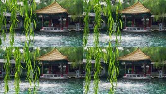 4K济南趵突泉公园济南旅游实拍泉水视频高清在线视频素材下载