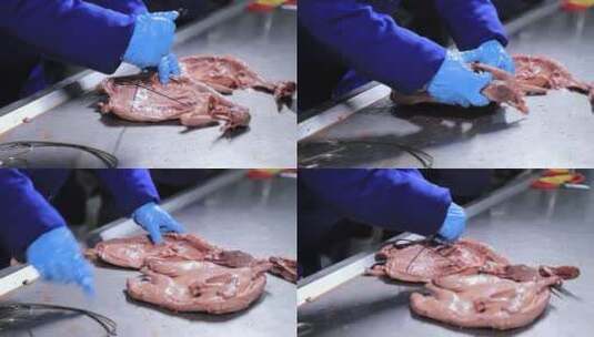 烤鸭 卤鸭工厂工作人员工作高清在线视频素材下载