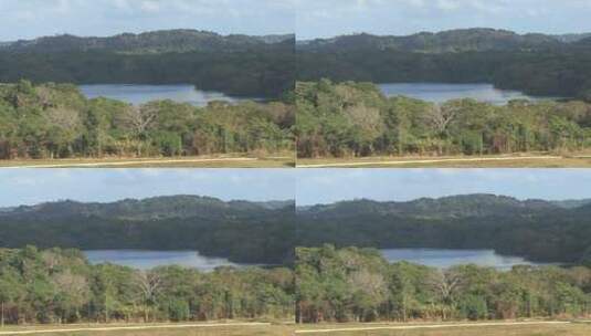 巴拿马运河沿岸的雨林高清在线视频素材下载