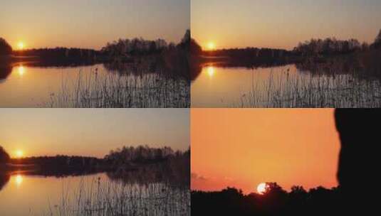 唯美夕阳湖畔芦苇荡高清在线视频素材下载