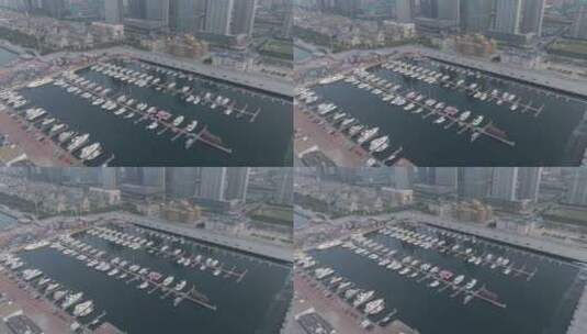 大连航拍游艇码头高清在线视频素材下载
