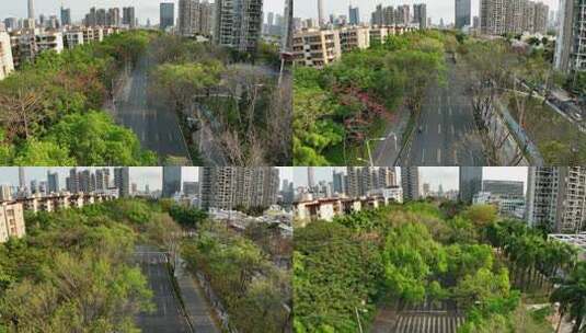 城市道路春天绿植绿化高清在线视频素材下载