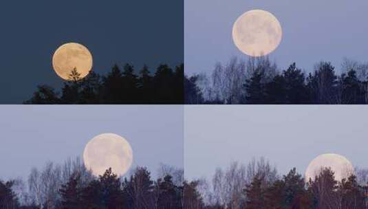 月亮升起高清在线视频素材下载