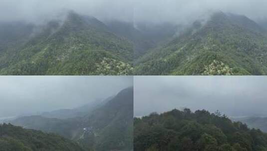 烟雨云雾缥缈的大山高清在线视频素材下载