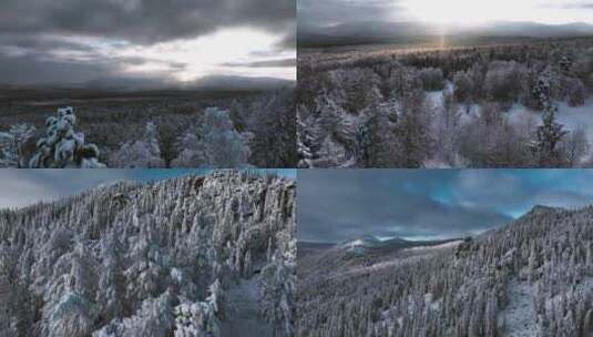 雪景森林雪松大雪山峰原始森林大兴安岭冬天高清在线视频素材下载