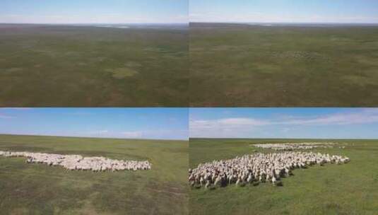 内蒙古生态修复土地复垦草原高清在线视频素材下载