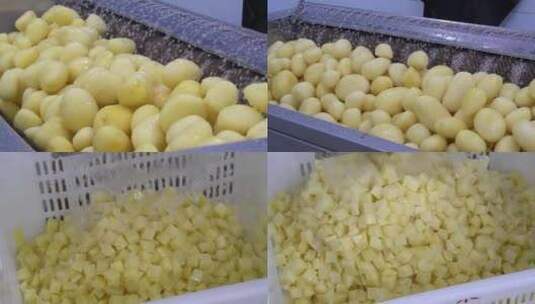 土豆全自动削皮中央厨房净菜加工生产线切丁高清在线视频素材下载