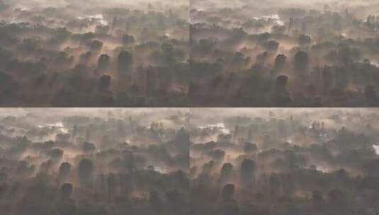 中国杭州西溪湿地云雾缭绕耶稣光水墨画高清在线视频素材下载