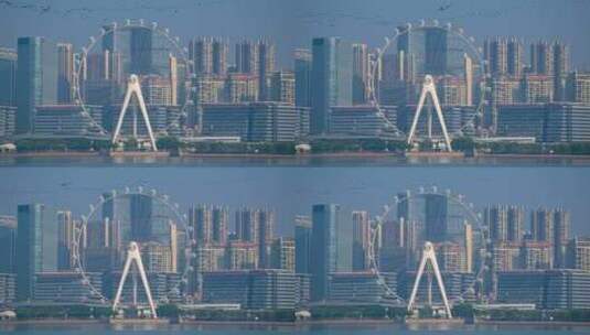 8K深圳欢乐港湾鸬鹚9高清在线视频素材下载