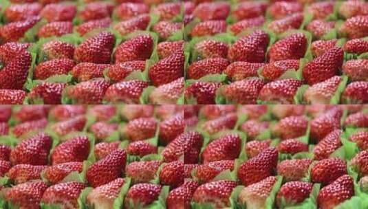 排列整齐的高品质水果草莓展示高清在线视频素材下载