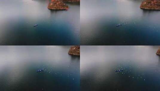 四川草海——泸沽湖海鸥成群渔船上空盘旋2高清在线视频素材下载