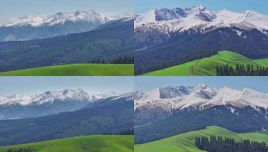 航拍新疆雪山森林草原治愈系风景高清在线视频素材下载