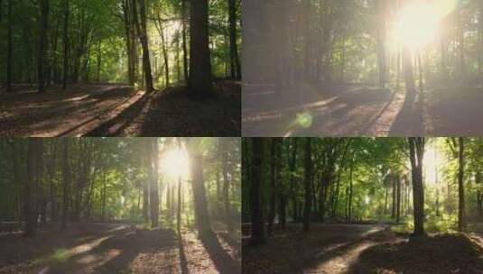 航拍特写日落余晖阳光透过森林高清在线视频素材下载