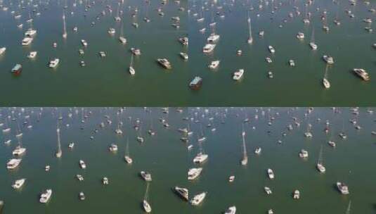 位于西贡的香港游艇会高清在线视频素材下载