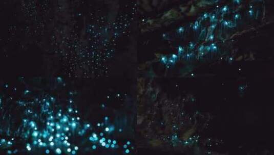 4K-萤火虫洞穴的延时摄影高清在线视频素材下载