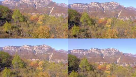 太行山秋天的自然风景枫叶金黄金秋秋景高清在线视频素材下载