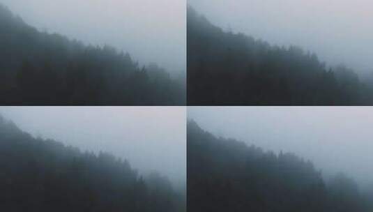 朦胧森林浓雾大景高清在线视频素材下载
