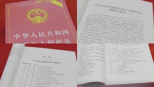 《未成年人保护法》合集高清在线视频素材下载