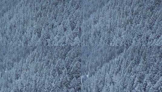 下雪时瑞士阿尔卑斯山冬季森林的空中多莉照高清在线视频素材下载