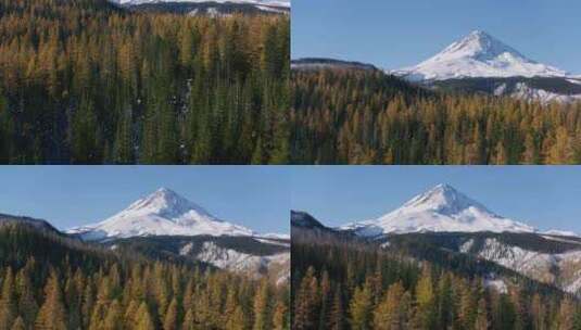 积雪，山，树，森林高清在线视频素材下载