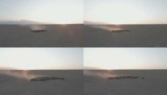 新疆-夕阳-羊群高清在线视频素材下载