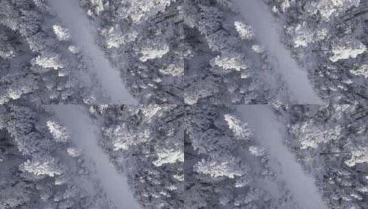 森林雪景航拍景观高清在线视频素材下载