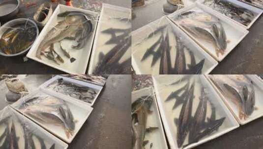 天津海河岸边卖鱼活鱼高清在线视频素材下载