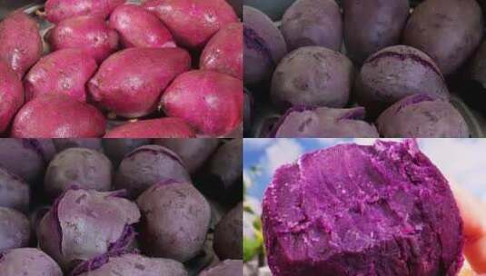越南小紫薯高清在线视频素材下载