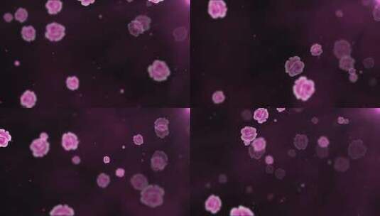 紫色康乃馨花瓣飘飞LED唯美背景演绎视频高清在线视频素材下载