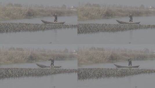 渔民养殖野鸭LOG高清在线视频素材下载