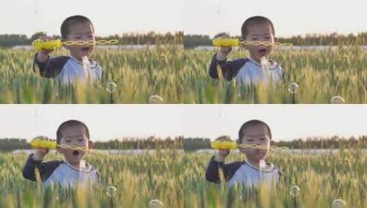 中国小朋友在麦田地中挥舞着旗帜玩耍泡吹泡高清在线视频素材下载