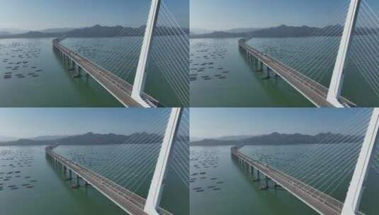 深圳湾大桥高清在线视频素材下载