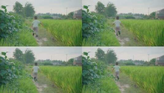 农村儿童在田埂上奔跑高清在线视频素材下载