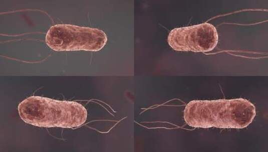 医疗病菌病毒细菌分子病原体生物三维动画高清在线视频素材下载
