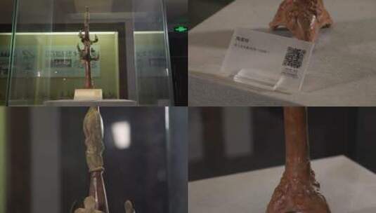 汉朝陶都树历史文物博物馆历史文物展览高清在线视频素材下载