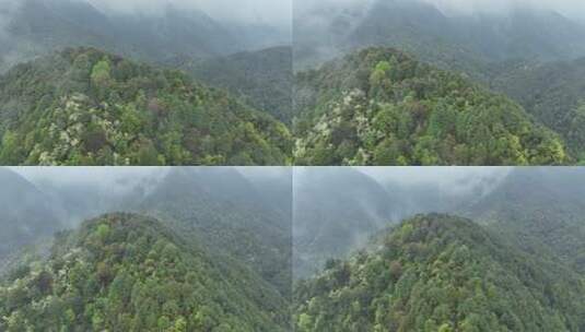 烟雨云雾缥缈的大山高清在线视频素材下载