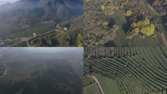 杭州西湖龙井产地龙坞西山森林公园航拍合集高清在线视频素材下载