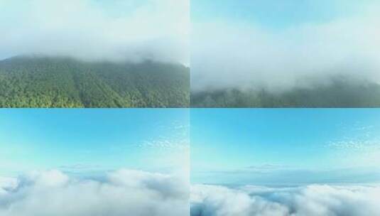 雨后森林航拍云海上升云层之上绿色清新空气高清在线视频素材下载