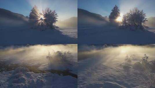 冬天唯美雪景阳光穿过树木阳光穿过迷雾高清在线视频素材下载