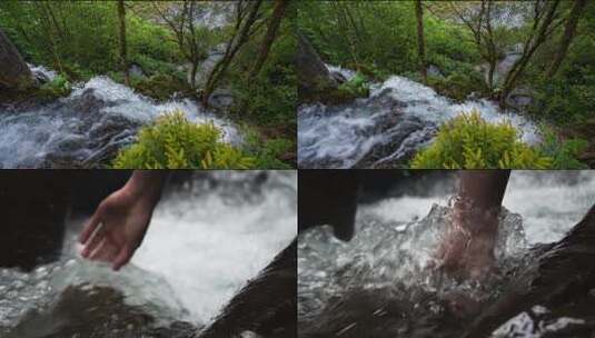 水水源溪流溪水瀑布雨林山水白酒酿酒酒植被高清在线视频素材下载