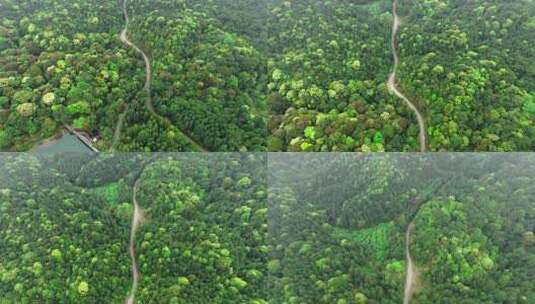 森林小路航拍大景4K高清在线视频素材下载