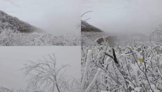 雾凇雪景2高清在线视频素材下载