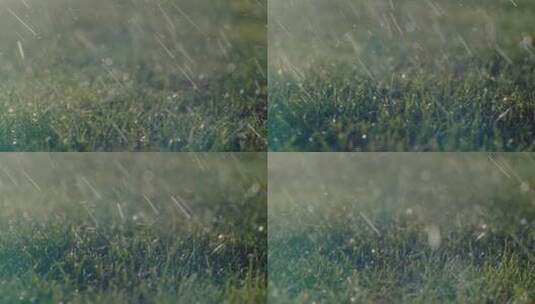 雨水打在草地上高清在线视频素材下载